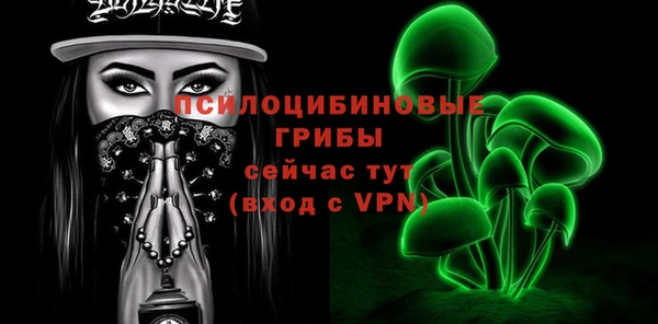 спиды Абаза