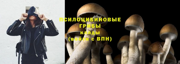 а пвп мука Абдулино