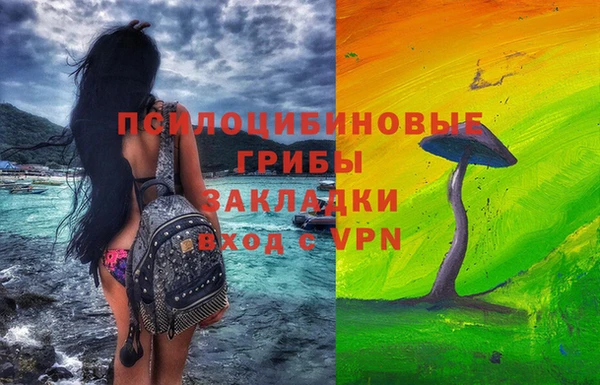 спиды Абаза