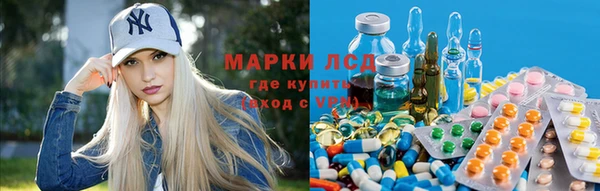 спиды Абаза