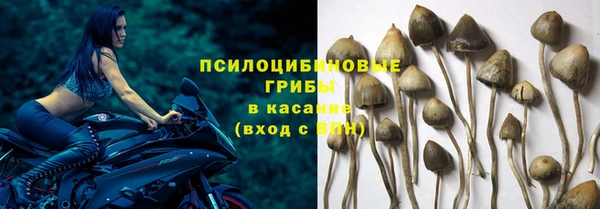 спиды Абаза