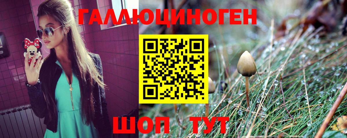 Псилоцибиновые грибы GOLDEN TEACHER  Псилоцибиновые грибы MAGIC MUSHROOMS  Великий Новгород  наркотики  Вход с VPN 